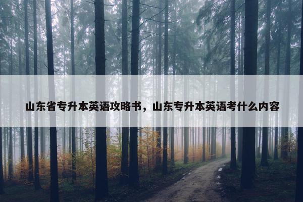 山东省专升本英语攻略书，山东专升本英语考什么内容