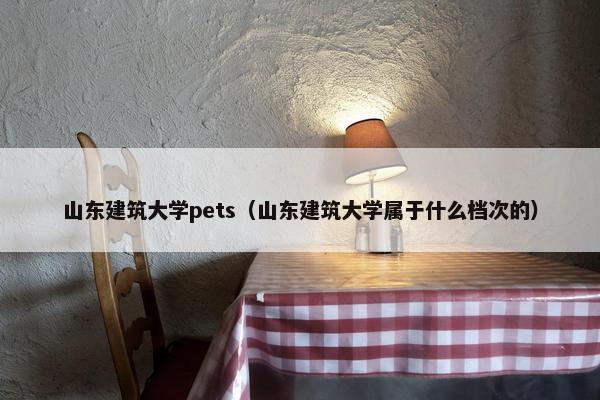 山东建筑大学pets（山东建筑大学属于什么档次的）