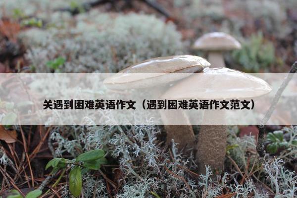 关遇到困难英语作文（遇到困难英语作文范文）