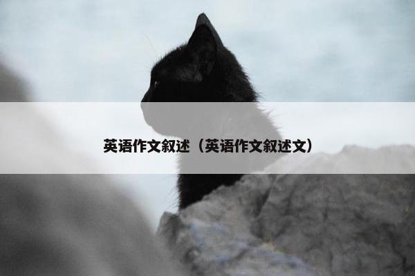 英语作文叙述（英语作文叙述文）