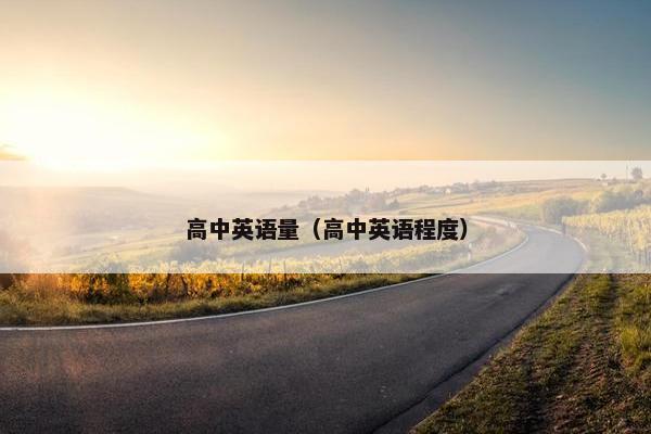 高中英语量（高中英语程度）