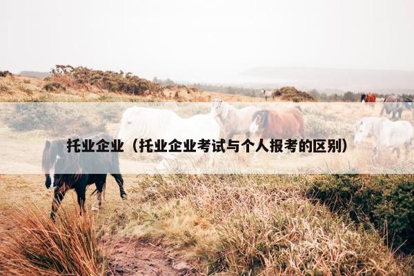 托业企业（托业企业考试与个人报考的区别）
