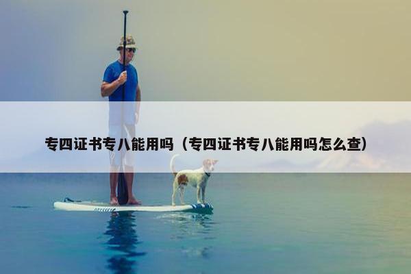 专四证书专八能用吗（专四证书专八能用吗怎么查）
