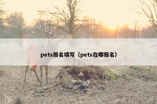 pets报名填写（pets在哪报名）