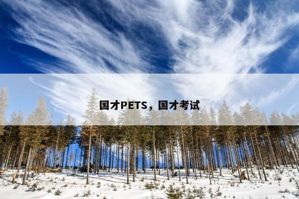 国才PETS，国才考试