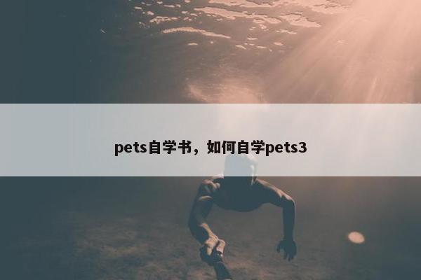 pets自学书，如何自学pets3