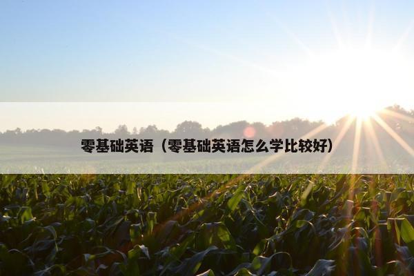 零基础英语（零基础英语怎么学比较好）