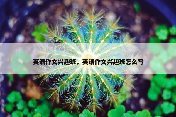 英语作文兴趣班，英语作文兴趣班怎么写