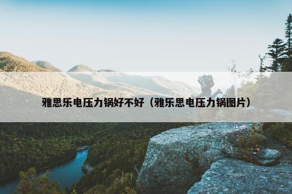 雅思乐电压力锅好不好（雅乐思电压力锅图片）