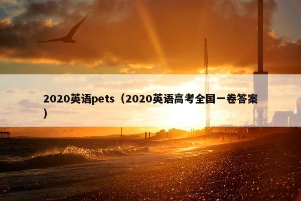 2020英语pets（2020英语高考全国一卷答案）