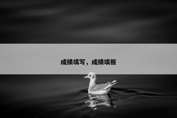 成绩填写，成绩填报