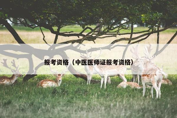 报考资格（中医医师证报考资格）