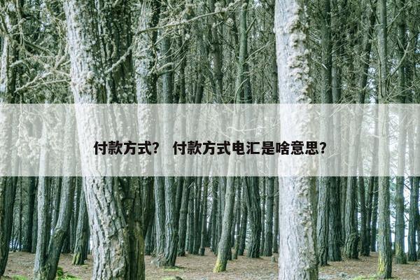 付款方式？ 付款方式电汇是啥意思？