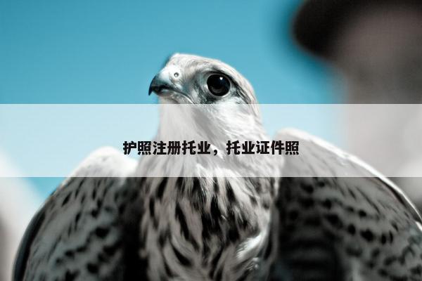 护照注册托业，托业证件照
