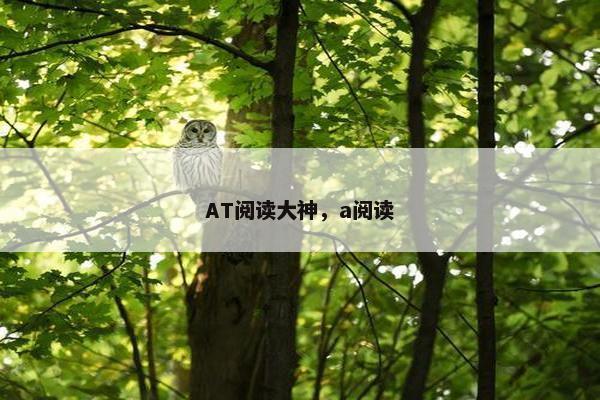 AT阅读大神，a阅读
