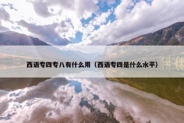 西语专四专八有什么用（西语专四是什么水平）