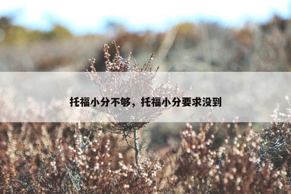 托福小分不够，托福小分要求没到