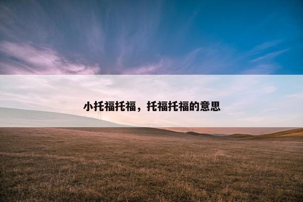 小托福托福，托福托福的意思