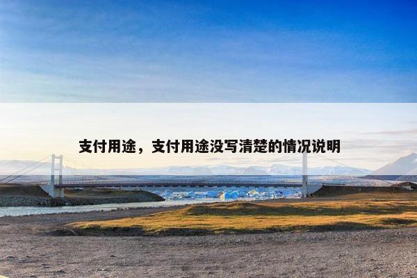 支付用途，支付用途没写清楚的情况说明