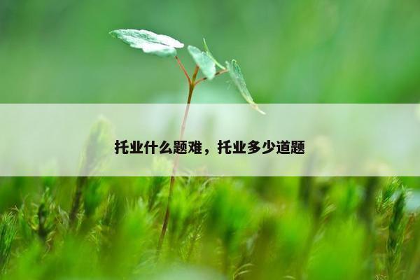 托业什么题难，托业多少道题