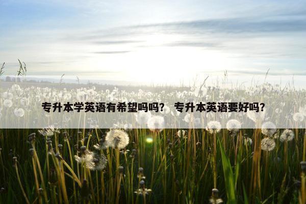 专升本学英语有希望吗吗？ 专升本英语要好吗？