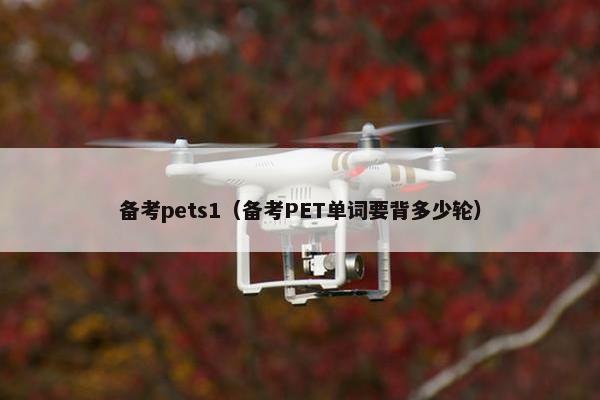 备考pets1（备考PET单词要背多少轮）