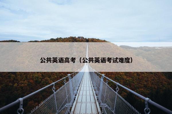 公共英语高考（公共英语考试难度）