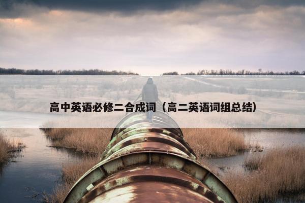 高中英语必修二合成词（高二英语词组总结）