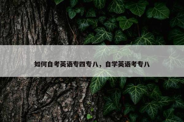 如何自考英语专四专八，自学英语考专八