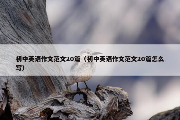初中英语作文范文20篇（初中英语作文范文20篇怎么写）