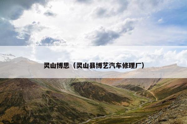 灵山博思（灵山县博艺汽车修理厂）