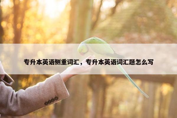 专升本英语侧重词汇，专升本英语词汇题怎么写