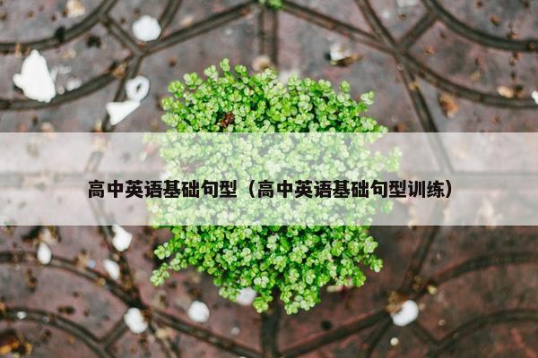 高中英语基础句型（高中英语基础句型训练）