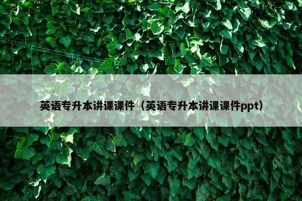 英语专升本讲课课件（英语专升本讲课课件ppt）