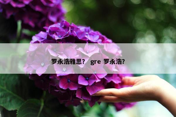 罗永浩雅思？ gre 罗永浩？