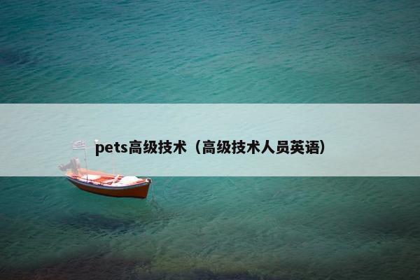 pets高级技术（高级技术人员英语）