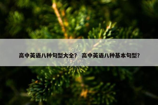 高中英语八种句型大全？ 高中英语八种基本句型？