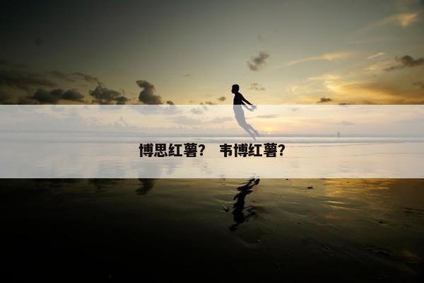 博思红薯？ 韦博红薯？