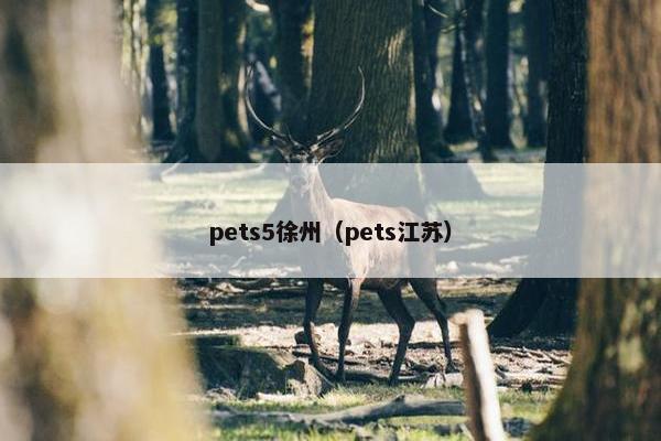 pets5徐州（pets江苏）