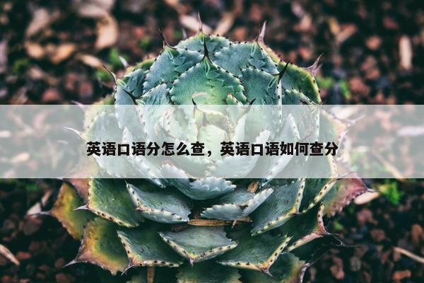 英语口语分怎么查，英语口语如何查分