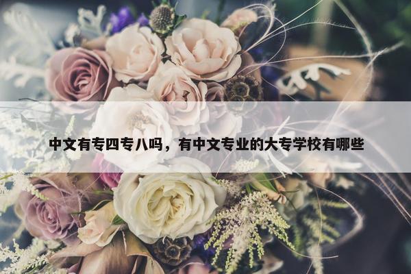 中文有专四专八吗，有中文专业的大专学校有哪些