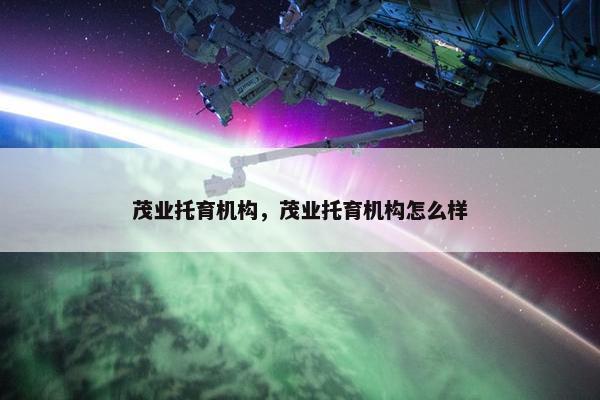 茂业托育机构，茂业托育机构怎么样