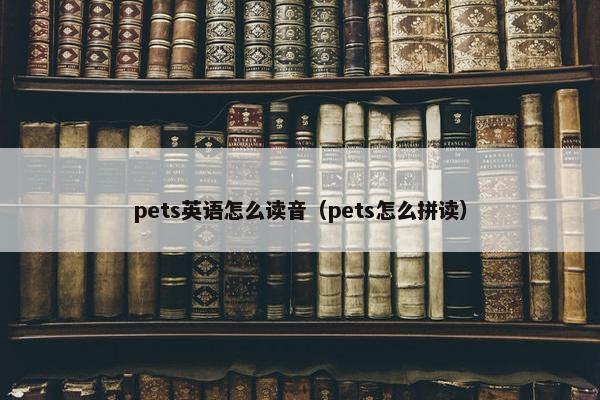 pets英语怎么读音（pets怎么拼读）