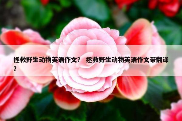 拯救野生动物英语作文？ 拯救野生动物英语作文带翻译？
