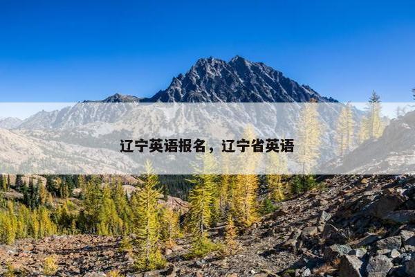 辽宁英语报名，辽宁省英语