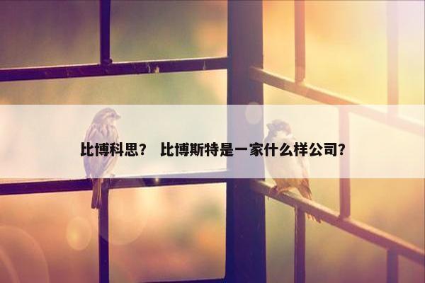 比博科思？ 比博斯特是一家什么样公司？