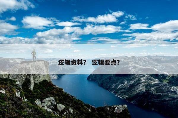 逻辑资料？ 逻辑要点？
