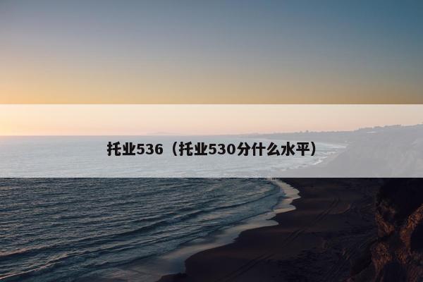 托业536（托业530分什么水平）