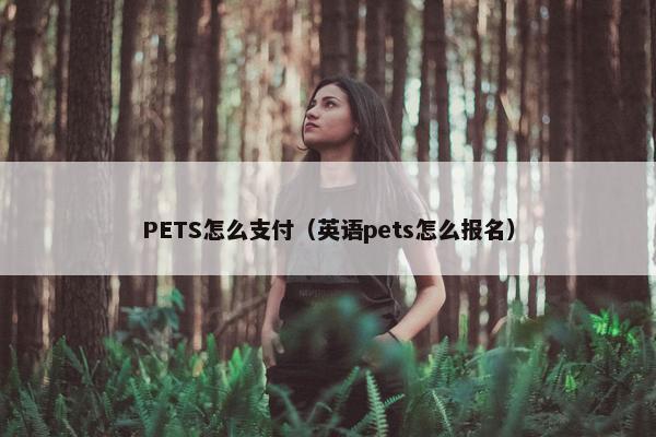 PETS怎么支付（英语pets怎么报名）