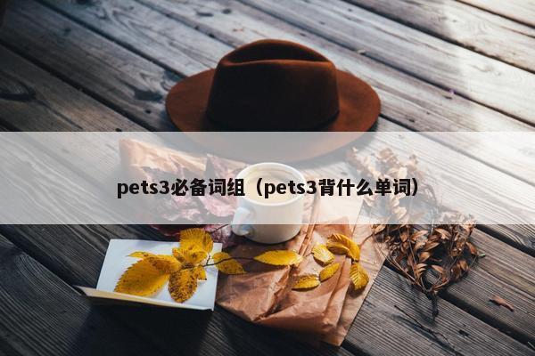 pets3必备词组（pets3背什么单词）